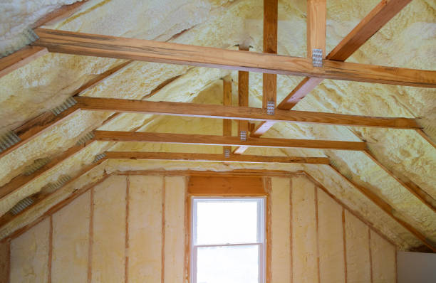 Best Types of Insulation in Aurora, SD